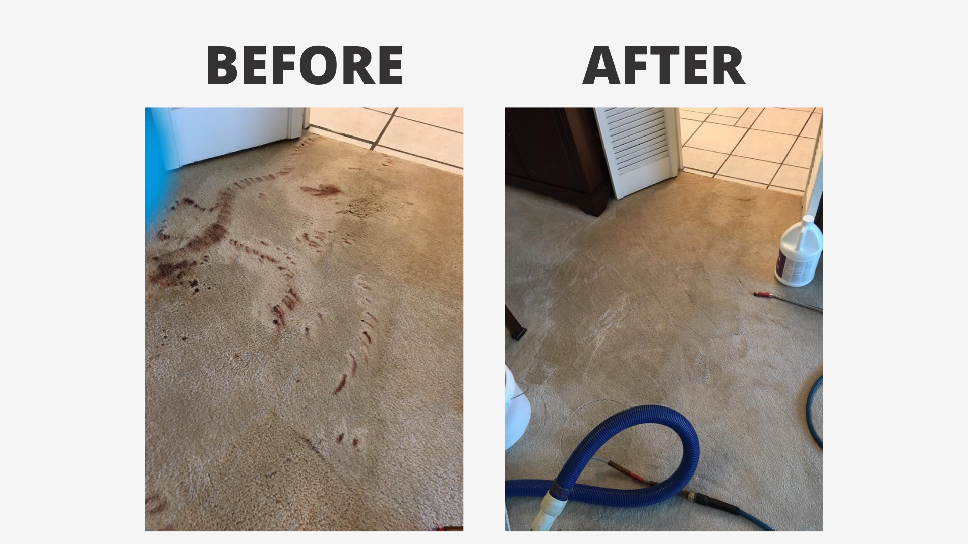 before and after photo or a carpet with and without stains